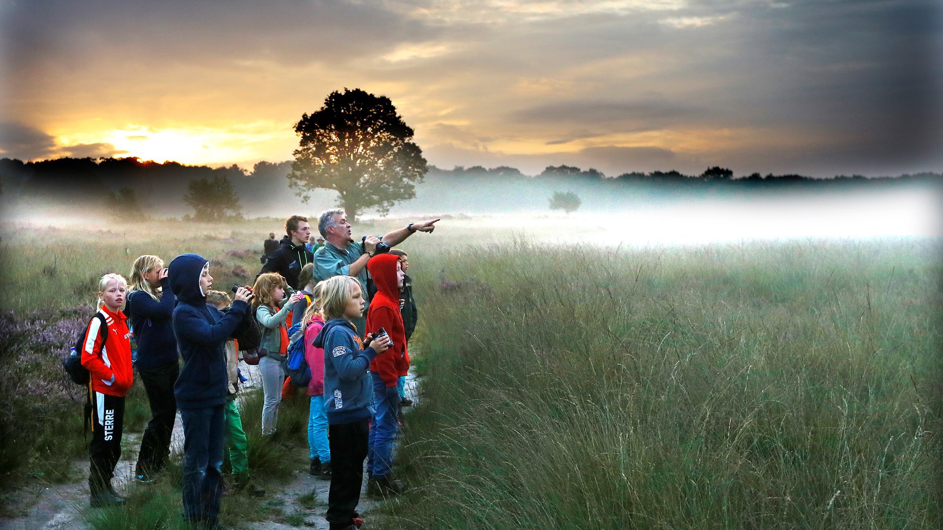 Het Nationale Park De Hoge Veluwe